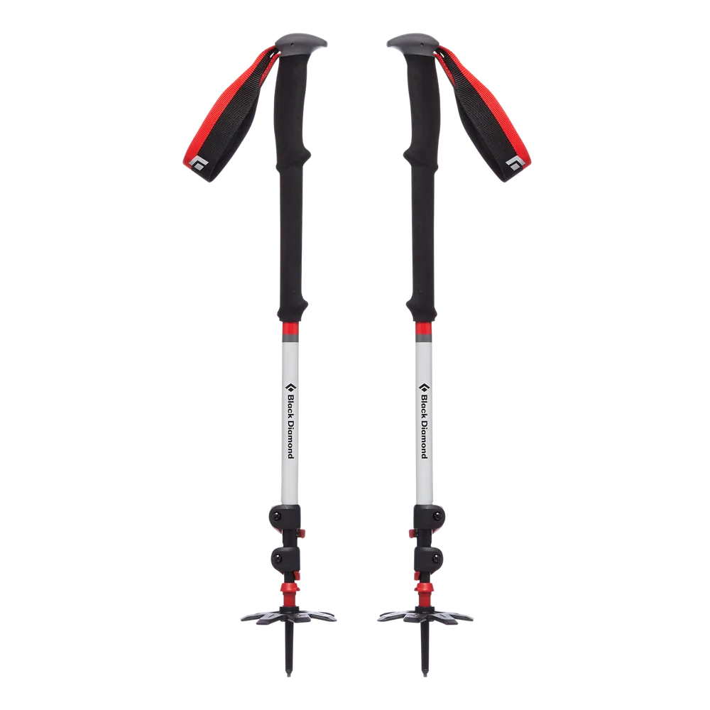 Black Diamond Expedition 3 Ski Poles