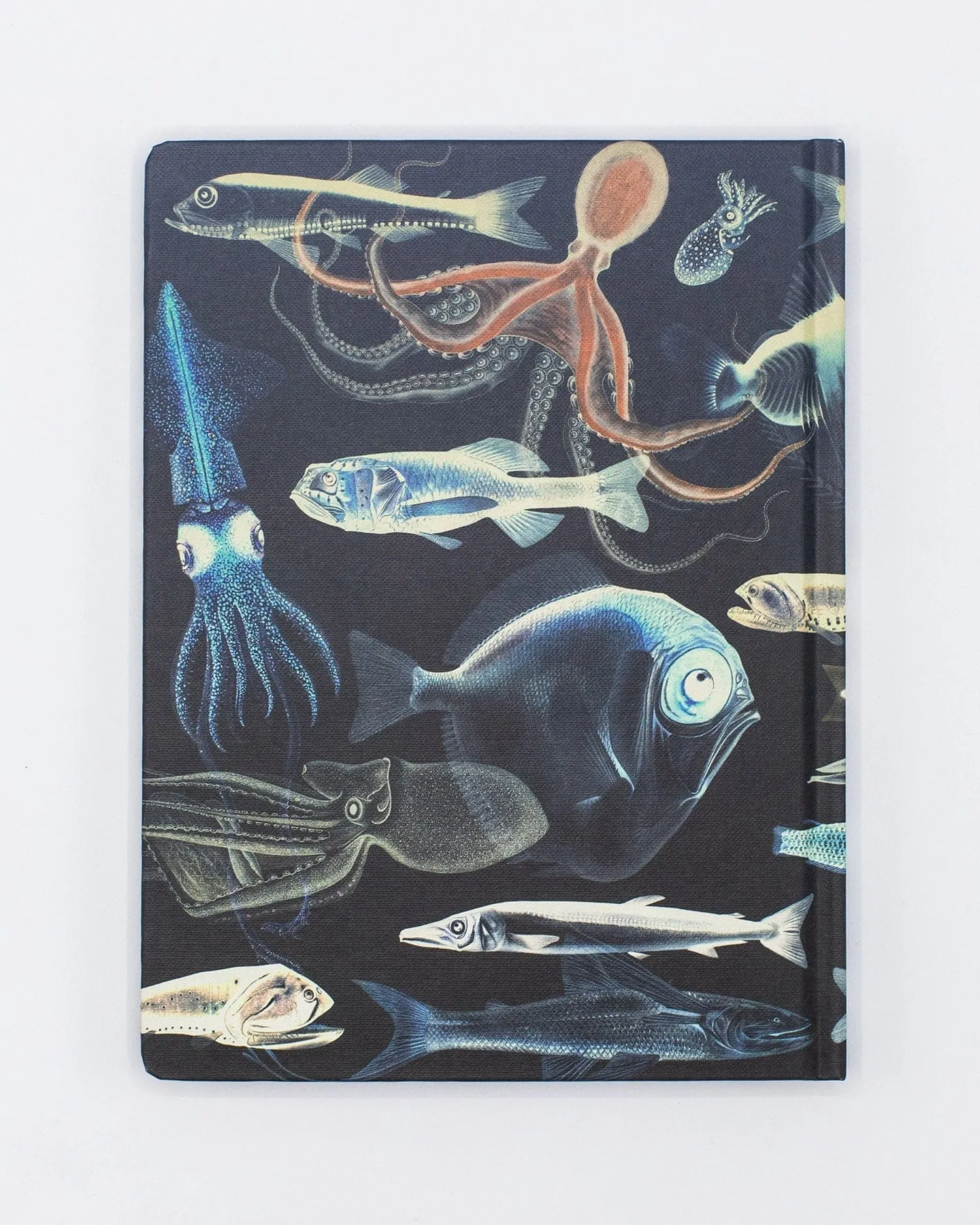 Deep Sea Hardcover Notebook - Lined/Grid