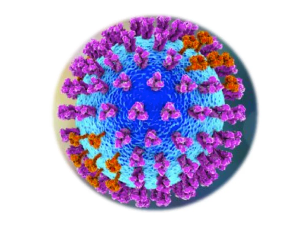 Equine Influenza A ELISA