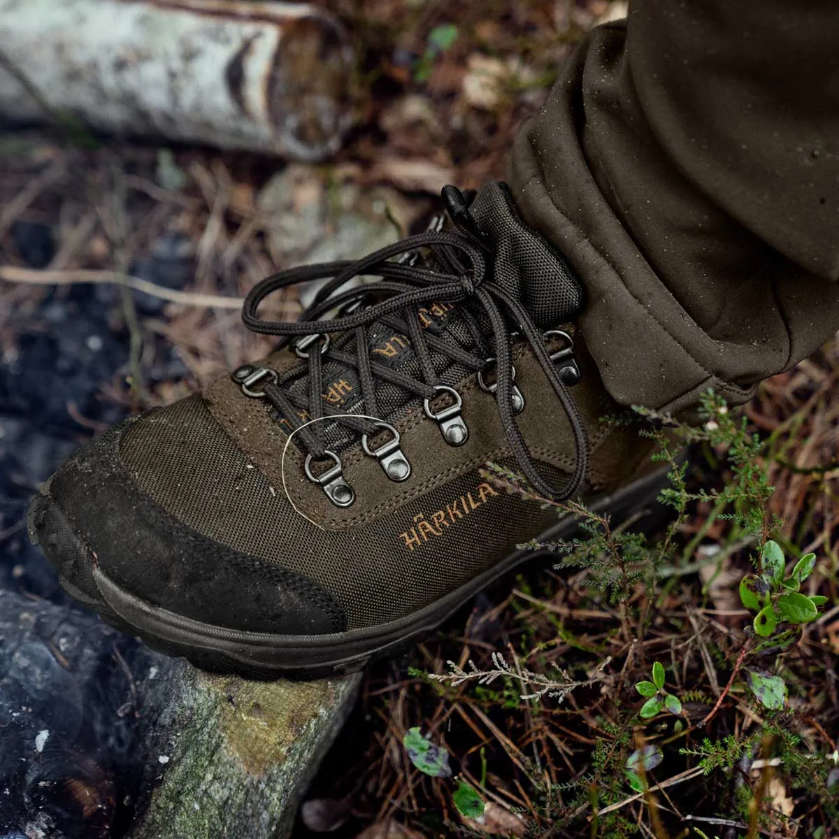 HARKILA Trail Lace GTX Shoes - Mens - Willow Green