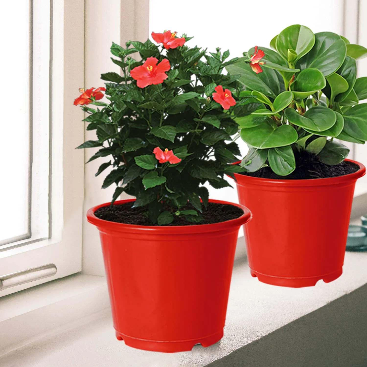 Heart Home Plastic Planters|Gamla|Flower Pots for Garden Nursery Home Décor,8"x6",Pack of 8 (Red)