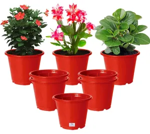 Heart Home Plastic Planters|Gamla|Flower Pots for Garden Nursery Home Décor,8"x6",Pack of 8 (Red)