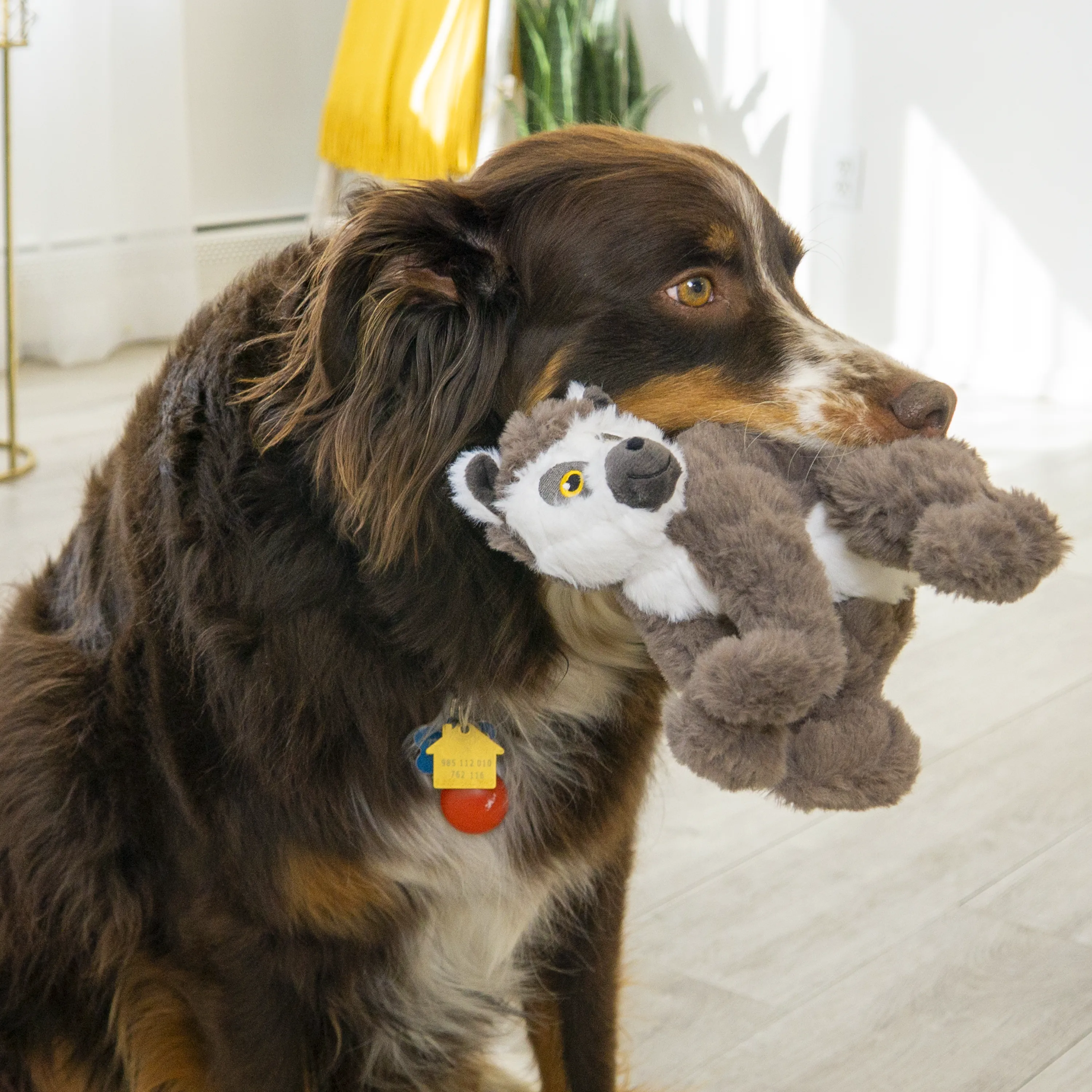 KONG Scampers Lemur Dog Toy