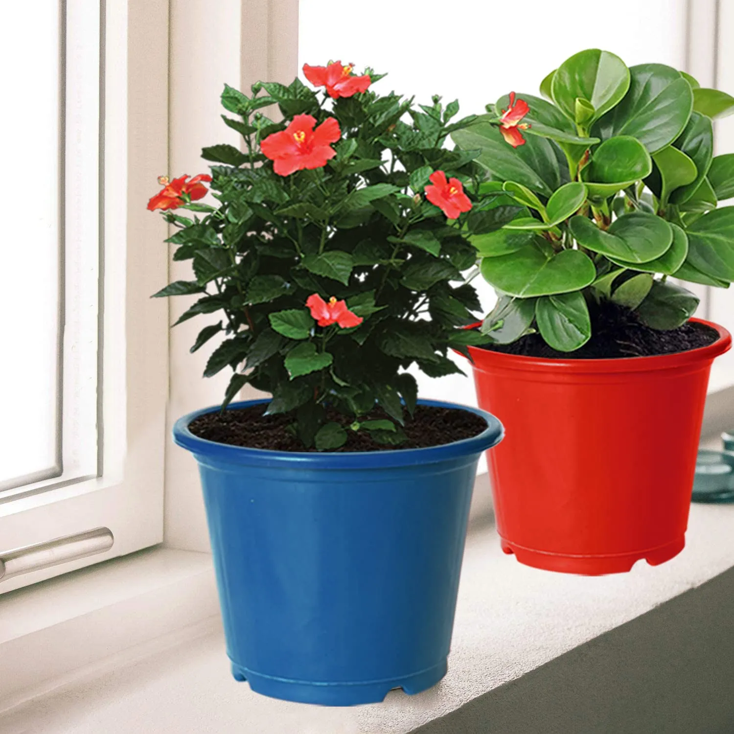 Kuber Industries Durable Plastic Flower Pot|Gamla for Indoor Home Decor & Outdoor Balcony,Garden,6"x5",Pack of 3 (Black,Blue,Red)