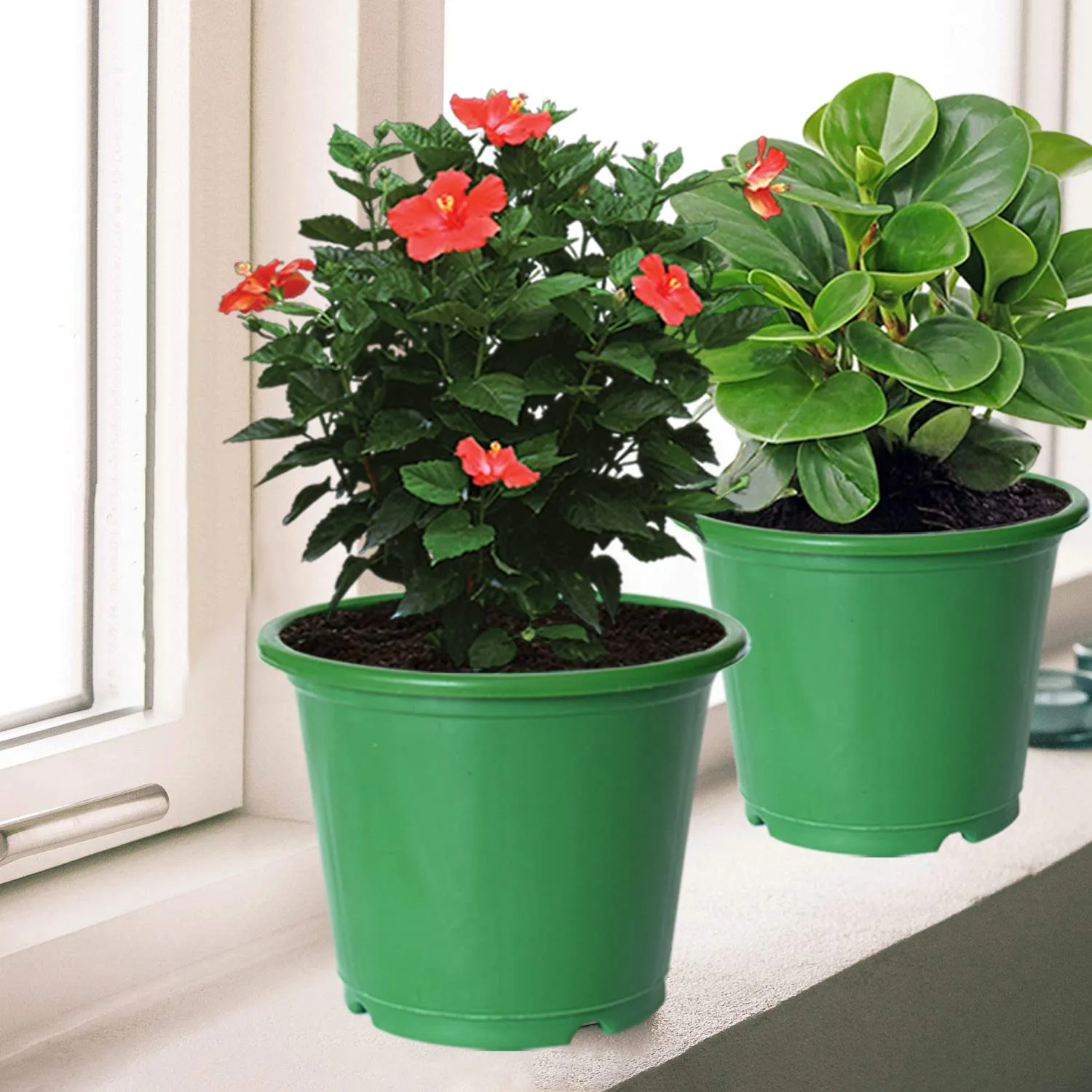 Kuber Industries Plastic Planters|Gamla|Flower Pots for Garden Nursery Home Décor,8"x6",Pack of 3 (Green)