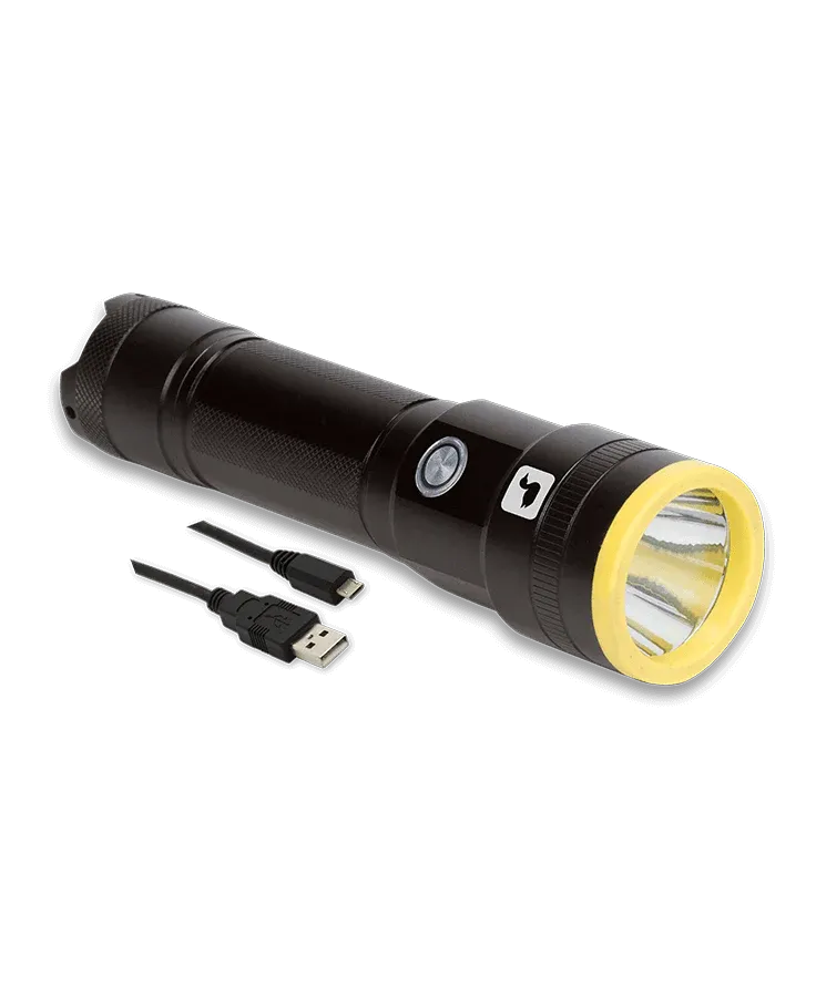 Loon UV Plasma Light