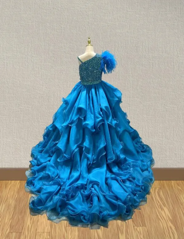 Miss Unirerse Stunning Ball Gown with Feather