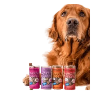 Polka Dog Mini Tube Wonder Nuggets Sweet Potato & Beef Soft & Chewy Dog Treats 2.5oz