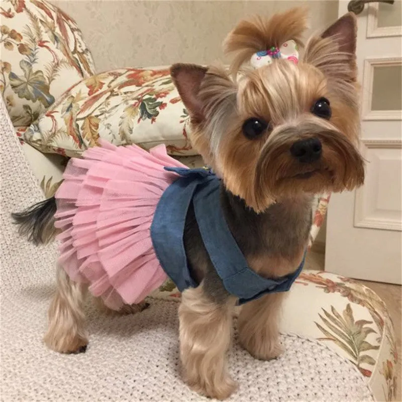 Summer Dress for Dog