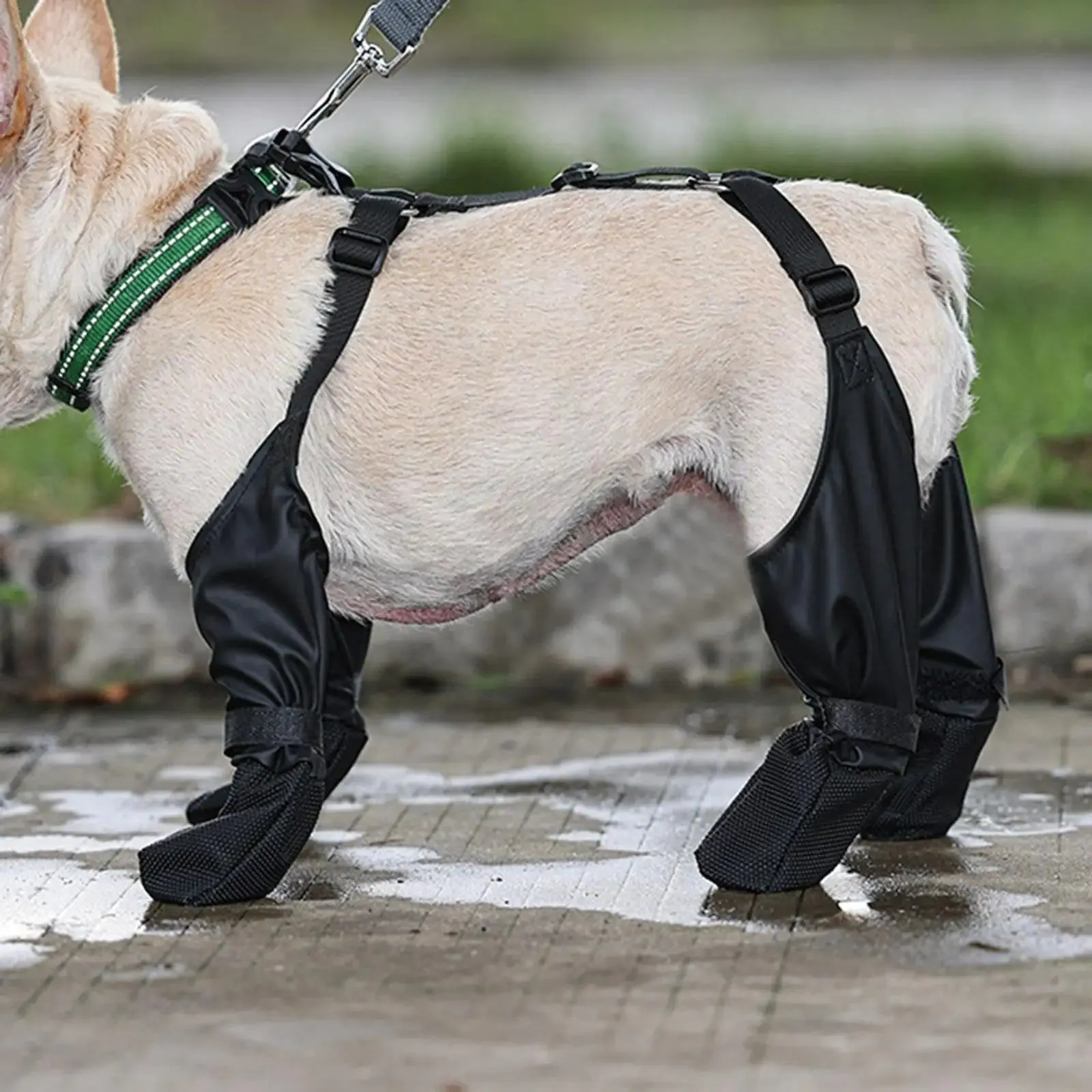 Suspender Dogs Boots