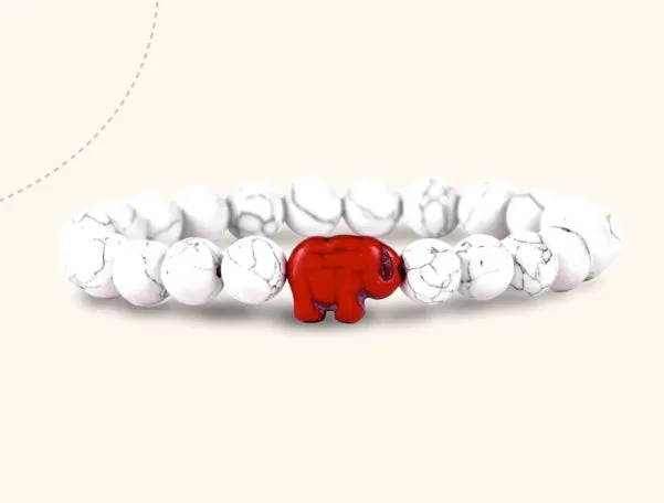 The Expedition Bracelet: Track an Elephant