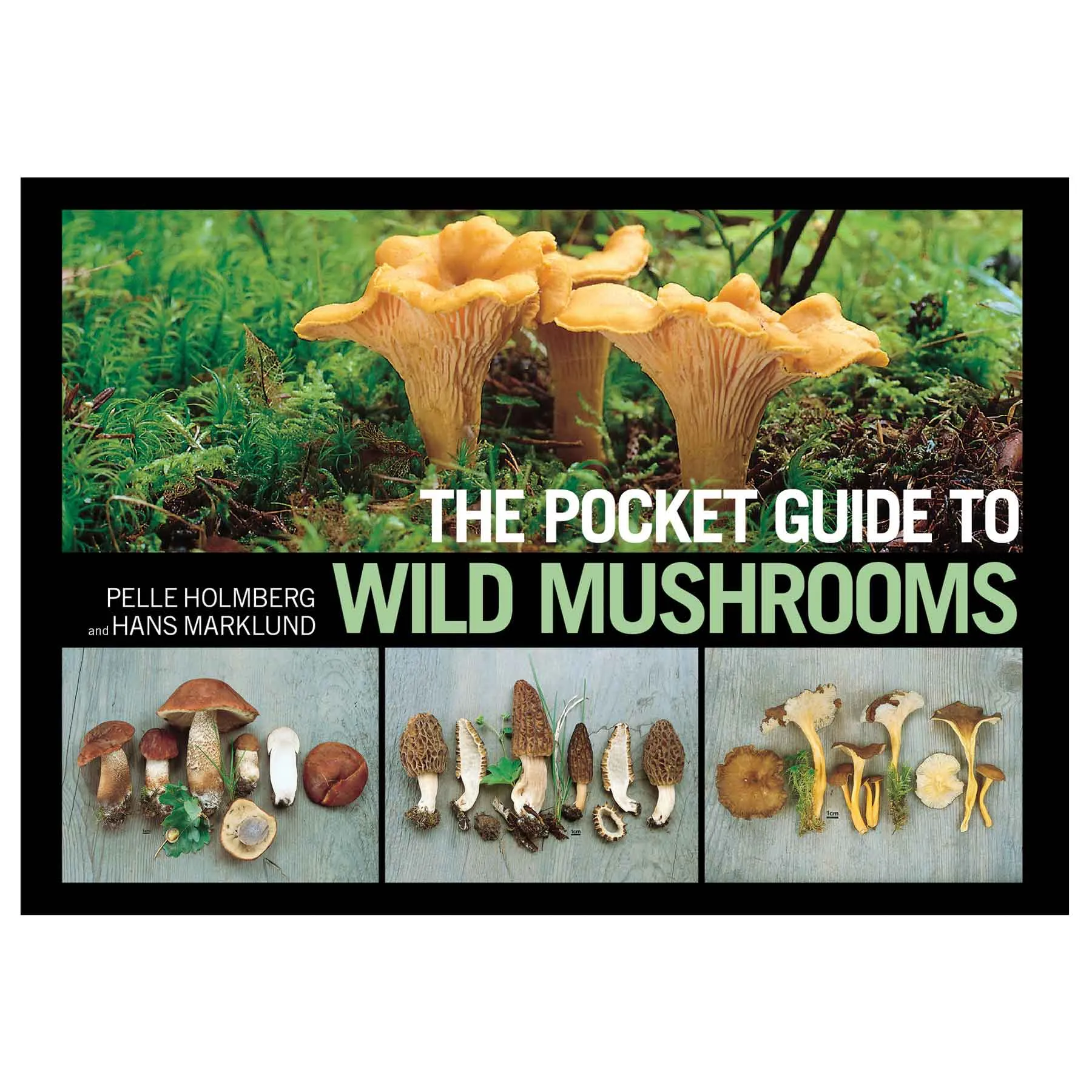 The Pocket Guide to Wild Mushrooms