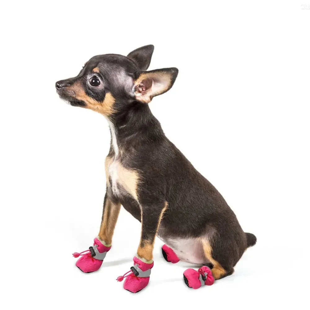 Waterproof Winter Shoes for Dogs