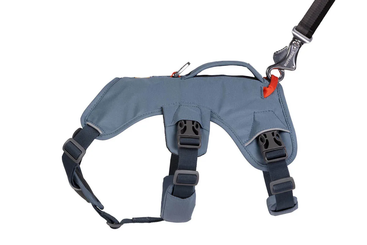 Web Master Harness Slate Blue